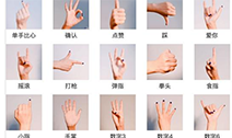 快速了解手势识别技术的原理有哪些